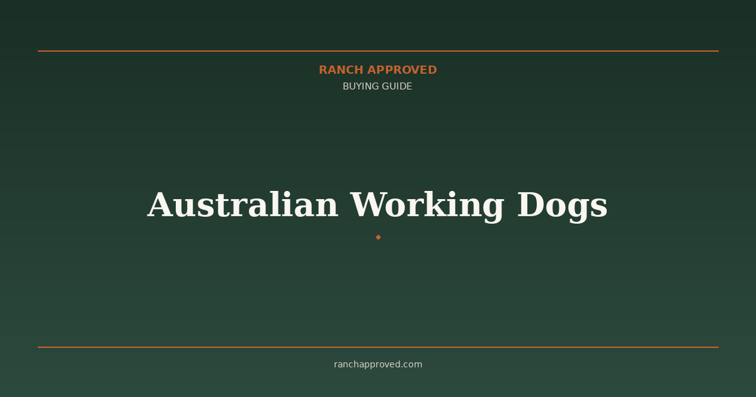 Australian Working Dogs: Kelpie vs Border Collie