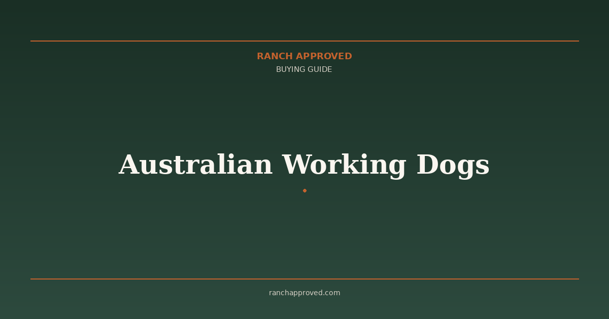 Australian Working Dogs: Kelpie vs Border Collie