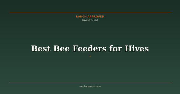 Best Bee Feeders for Hives in 2026