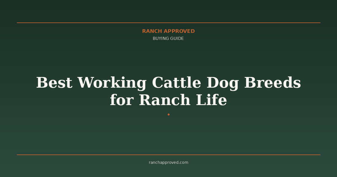 Best Working Cattle Dog Breeds for Ranch Life