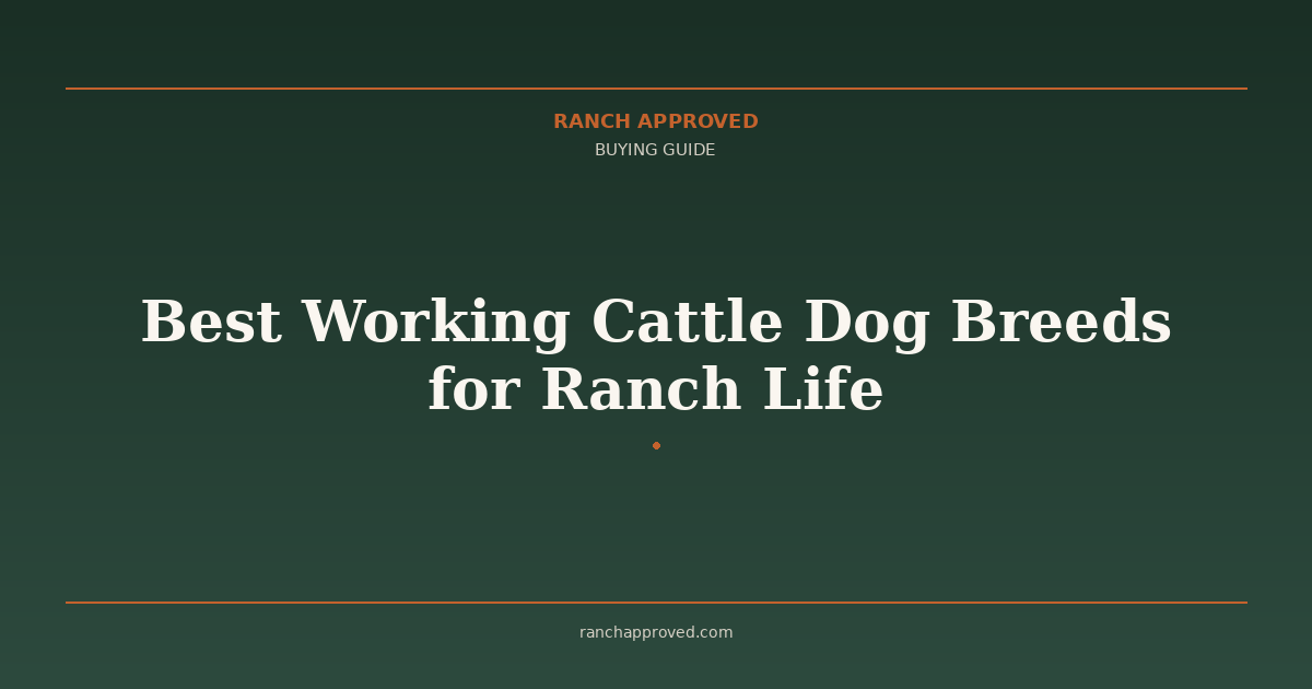 Best Working Cattle Dog Breeds for Ranch Life