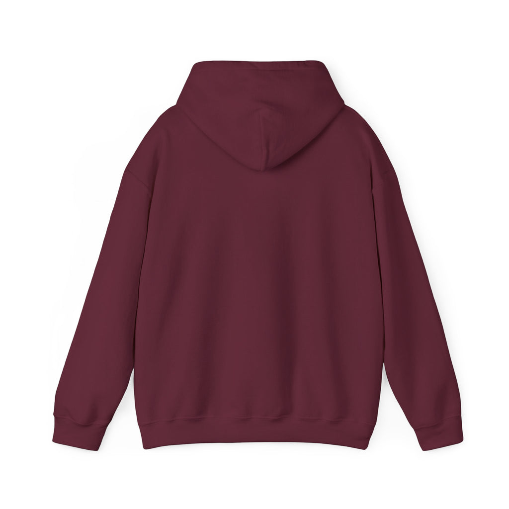 Sunrise to Sundown Hoodie