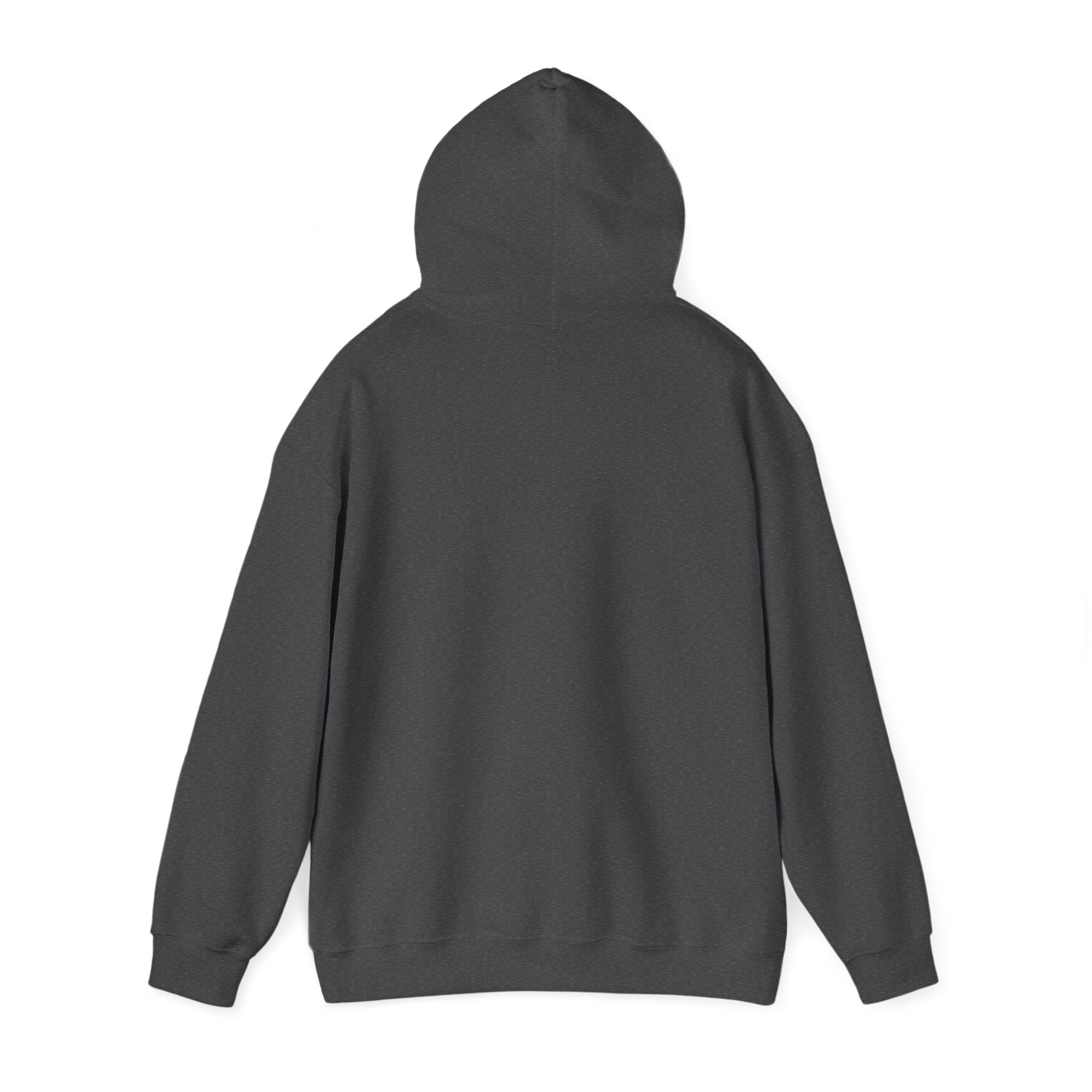 Sunrise to Sundown Hoodie